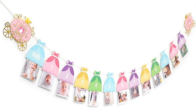Princess 12 Month Photo Banner Princess Birthday Party Decorations