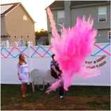 Gender Reveal Baseball Set Pink & Blue Powder Kit for Complete