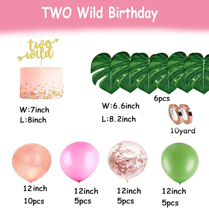 Two Wild Birthday Party Decorations Jungle Themed Secend Girl