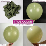 Bezente Sage Green Balloons - 100 Pack 12 Jungle Party Decorations