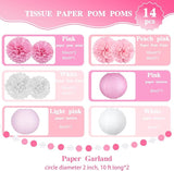 14 Pcs Pink Party Decorations Kit - Tissue Pom Poms, Lanterns & Polka