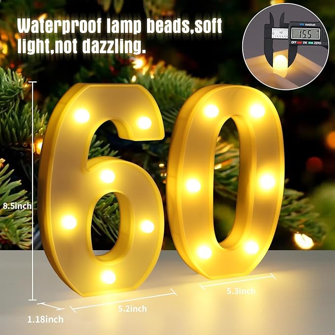 60th Birthday Decorations for Women Men Happy 60 Birthday