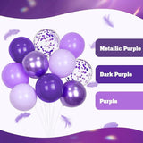 60pcs Purple Balloons 12inch with Metallic Pastel Dark Purple