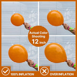 PartyWoo Burnt Orange Balloons 140pcs Different Sizes of 18 12 10 5