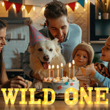 7 Pcs Wild One Birthday Party Decorations Wild One Neon Light Sign