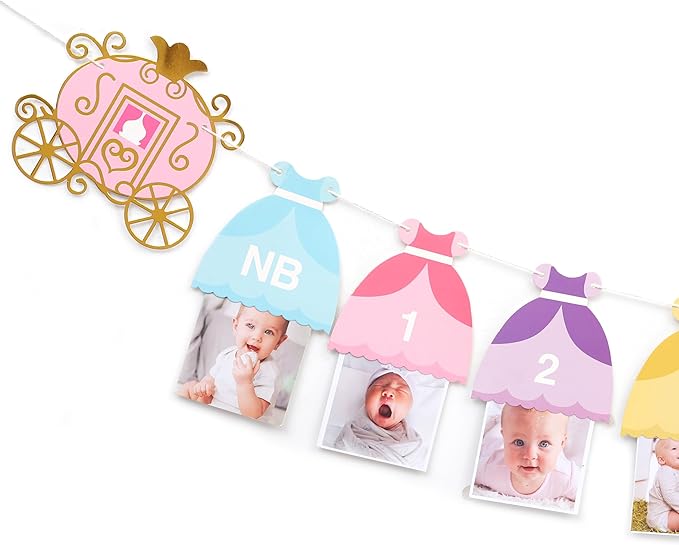Princess 12 Month Photo Banner Princess Birthday Party Decorations