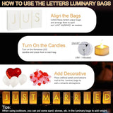 Just Married Luminary Paper Bags with LED Tea Lights Flameless