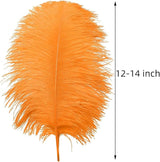 Ballinger Orange Large Ostrich Feathers - 24Pcs 12-14inch Big