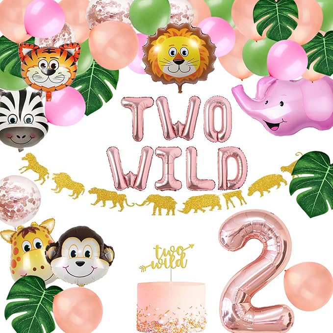 Two Wild Birthday Party Decorations Jungle Themed Secend Girl