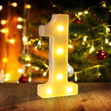 Marquee Numbers 1st First Birthday Decorations for Girls Boys One
