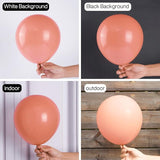 PartyWoo Dusty Pink Balloons 50 pcs 12 Inch Blush Pink Dusty Rose
