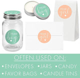Mint or Peach Gender Reveal Party Team Boy or Team Girl Stickers