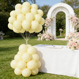 Light Yellow Balloons, 50pcs 12 Inches Pastel Yellow Latex Balloons