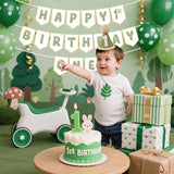 Sage Green First Birthday Decorations One Birthday Hat and Pre