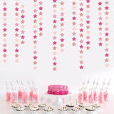 Hot Pink Rose Gold Party Decorations Garland 62ft Twinkle Little