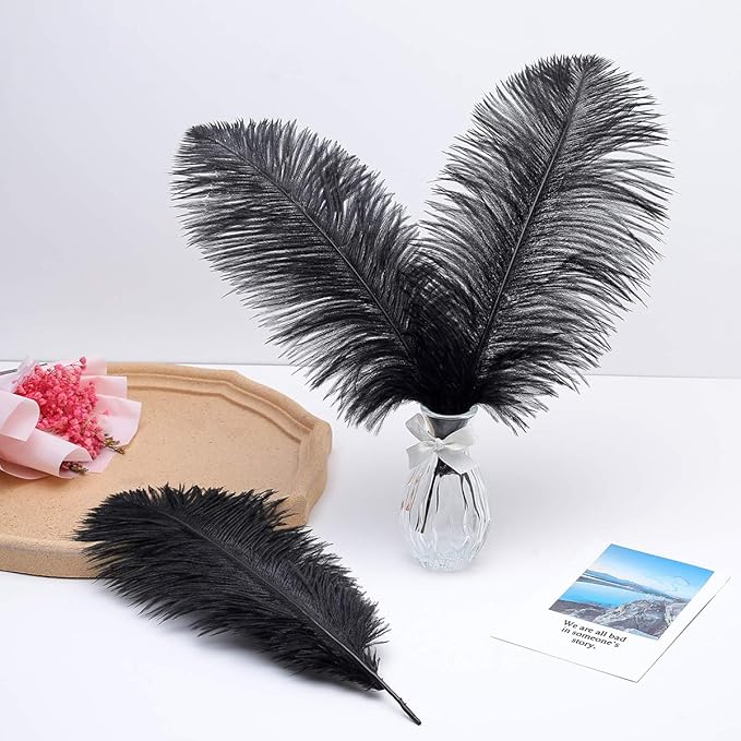 Ballinger Black Ostrich Feathers Bulk - 24Pcs 8-10inch Feathers for