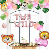 Two Wild Birthday Party Decorations Jungle Themed Secend Girl