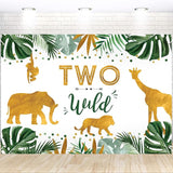 Two Wild Birthday Decorations Safari Jungle Theme 2nd Birthday Party