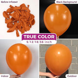 Bezente Burnt Orange Balloons Latex Party Balloons - 100 Pack 12 inch