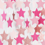 Hot Pink Rose Gold Party Decorations Garland 62ft Twinkle Little