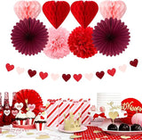 Pink Red Burgundy Valentines Day Galentines Party Decorations 22pcs