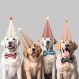 CHUNNIN 24 PCS Boho Party Hats Neutral Boho Themed Paper Hats