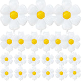 EUVBOKW 21PCS Daisy Balloons,White Foil Flower Balloons Set for Groovy