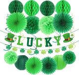 St Patricks Day Decorations Saint Patrick's Party Decor 22pcs Lucky