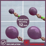 PartyWoo Dusty Purple Balloons 100 pcs Different Sizes of 18 12 10 5