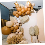 Latex Balloons Adhesive Dots Boho Party Balloon Decorations Birthday