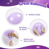 60pcs Purple Balloons 12inch with Metallic Pastel Dark Purple