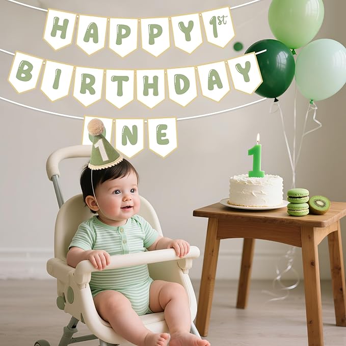 Sage Green First Birthday Decorations One Birthday Hat and Pre