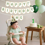 Sage Green First Birthday Decorations One Birthday Hat and Pre