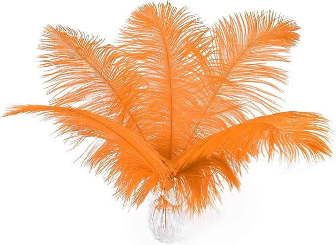 Ballinger Orange Large Ostrich Feathers - 24Pcs 12-14inch Big