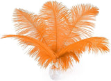 Ballinger Orange Large Ostrich Feathers - 24Pcs 12-14inch Big