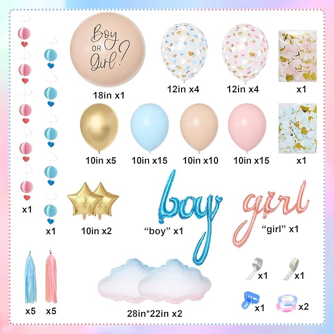 Ouddy Party Gender Reveal Decorations Pastel Pink and Blue Nude