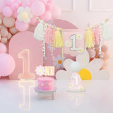 Pink Daisy Baby First Birthday Party Decorations Blue High Chair