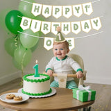 Sage Green First Birthday Decorations One Birthday Hat and Pre