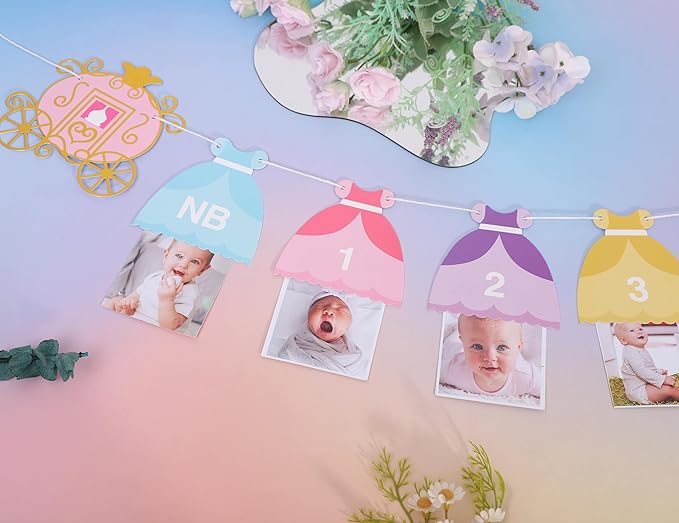 Princess 12 Month Photo Banner Princess Birthday Party Decorations