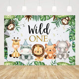 Safari 1st Birthday Decorations for Boy Wild One Backdorp Happy