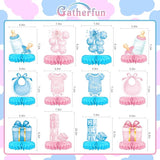 Gender Reveal Decoration Set Includes Baby Reveal Table Decorations