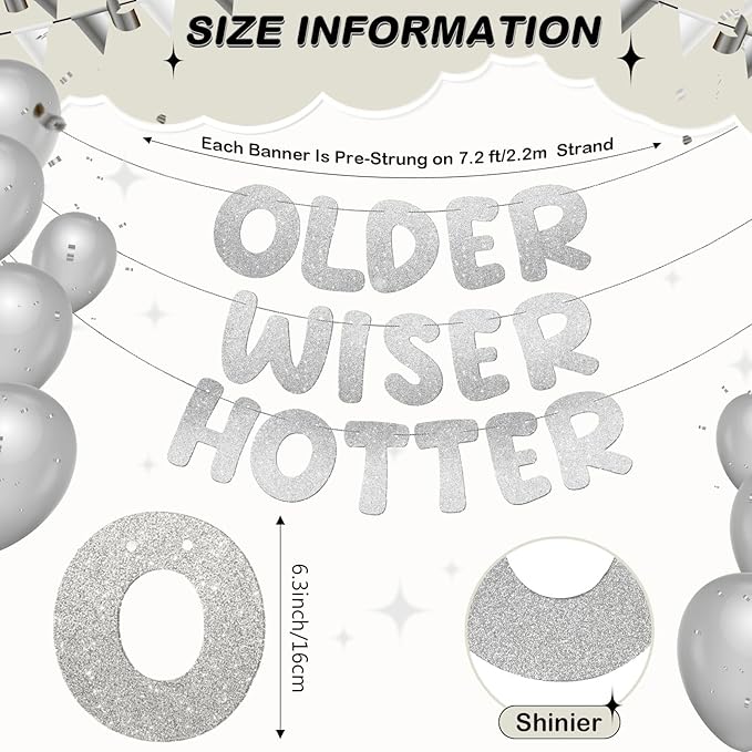 Fulmoon Set of 3 Pre Strung Older Wiser Hotter Glitter Banner Funny #2