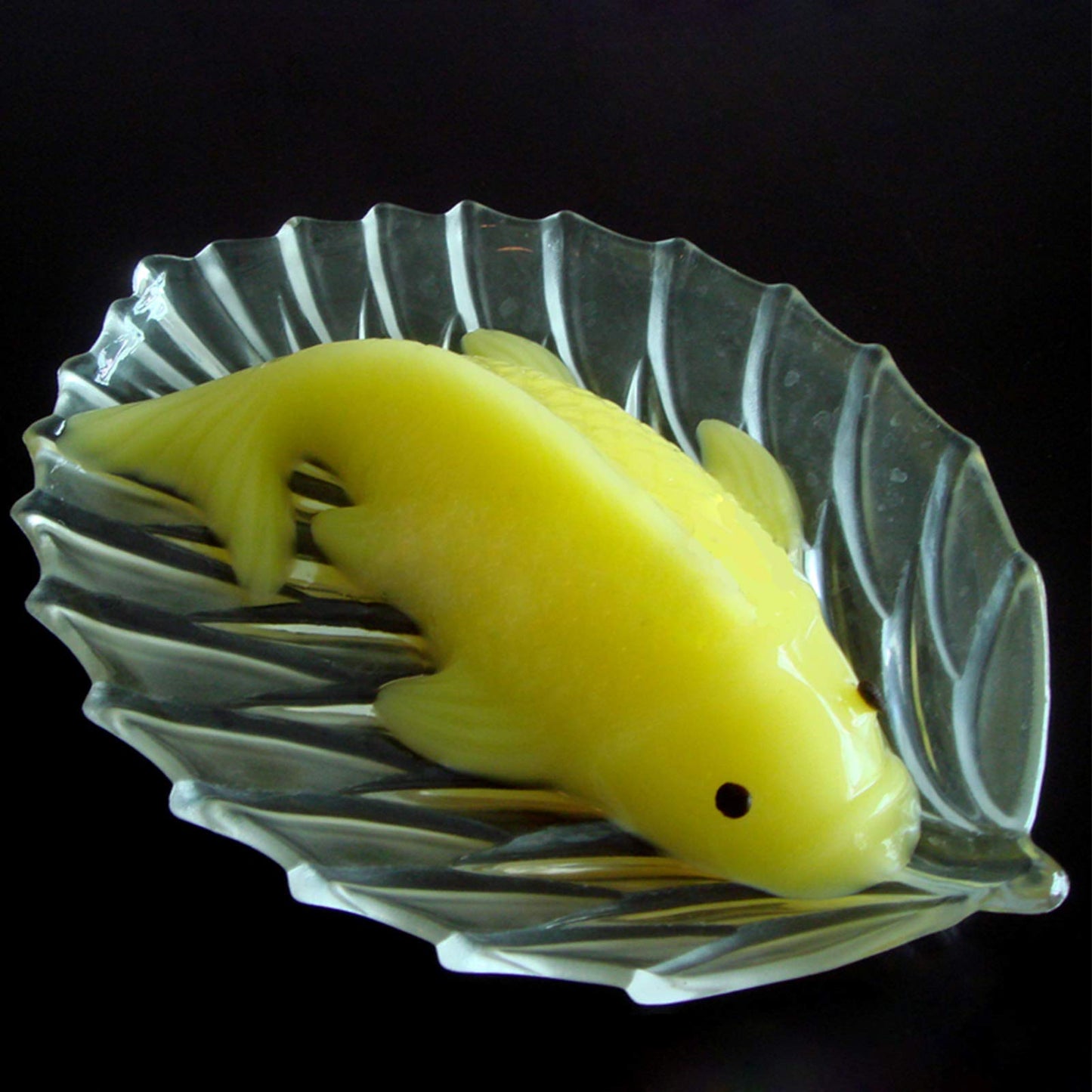 EORTA 3 Pack 3D Fish Shaped Jelly Molds PP Plastic