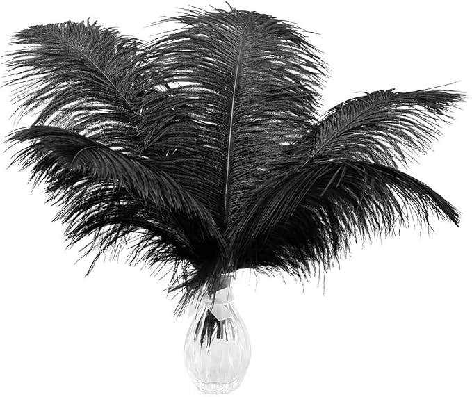 Ballinger Black Ostrich Feathers Bulk - 24Pcs 8-10inch Feathers for