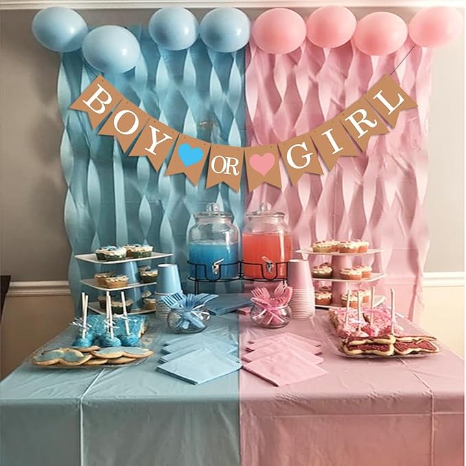 Boy or Girl Banner He or She Baby Gender Sign for Party Decorations