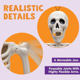 5 PCS Posable Halloween Skeleton Decor 16 Inches Full Body Posable