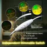 St Patricks Day Neon Sign Dimmable St Patrick's Day Neon Signs for