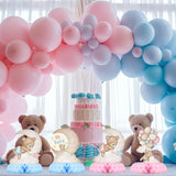 Gender Reveal Party Decorations Blue Pink Bear Honeycomb