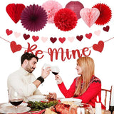 Pink Red Burgundy Valentines Day Galentines Party Decorations 22pcs