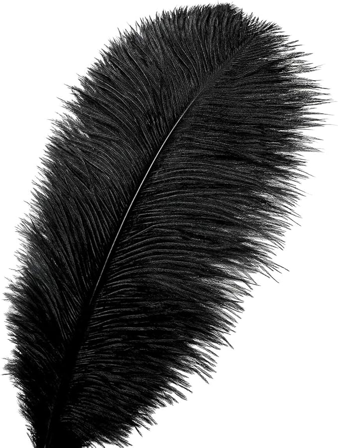 Ballinger Black Ostrich Feathers Bulk - 24Pcs 8-10inch Feathers for